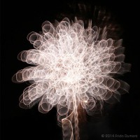 /album/light-painting/frida-dumont-img-0650-jpg/